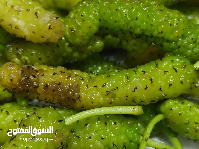 توت عماني المعروف باسم البييينو ابيض اللون حلو المواق بشكل مميز .طعم لذيذ وممتع