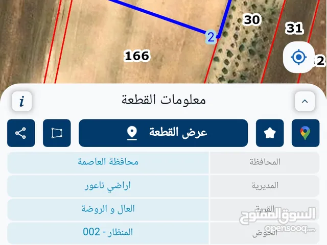 ارض للبيع في منطقة العال حوض المنظار