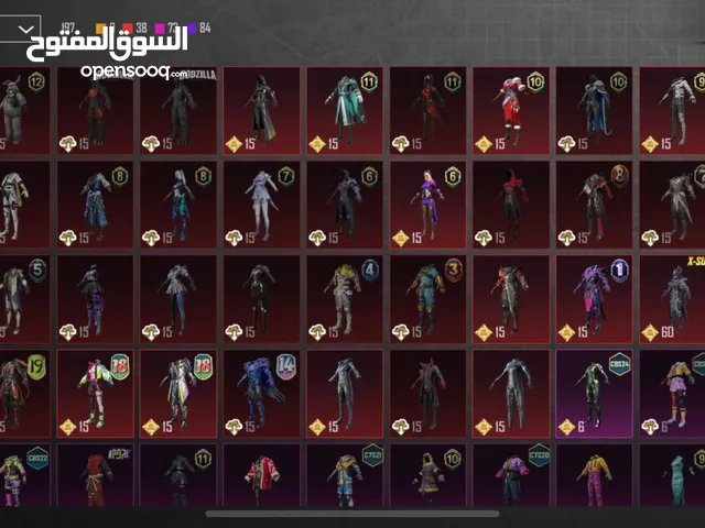 Pubg Accounts and Characters for Sale in Zarqa