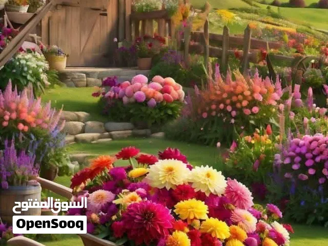 يوجد لدينا شركه لصناعه الاسفلت والبوتمين للبيع