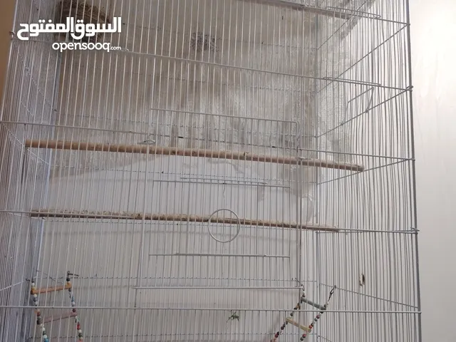 قفص حجم كبير للبيع نضيف جدا سعره 65 الف