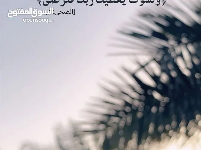 Soudqi mohammad