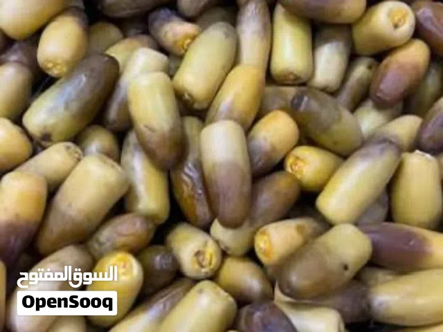 رطب نغال فاخر حبة كبيرة خراف كل يوم حسب طلب وكمية خيرات الرستاق