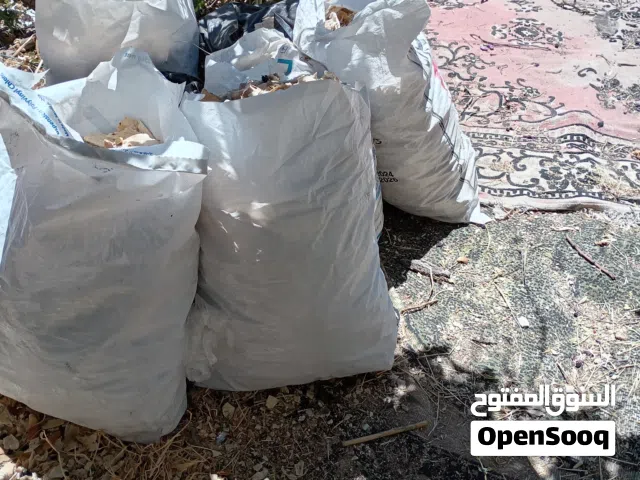 خبز ناشف للبيع