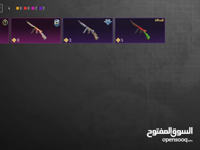 Pubg Accounts and Characters for Sale in Amman