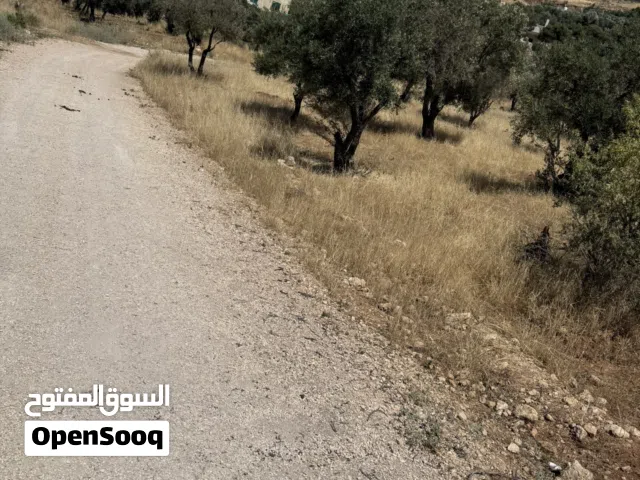 Mixed Use Land for Sale in Zarqa Um Rummanah