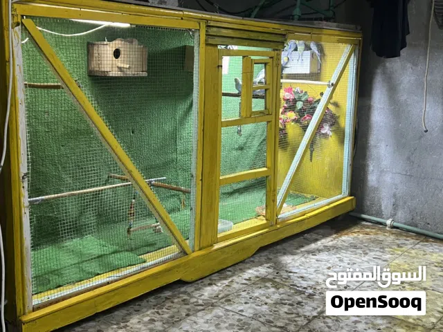 قفص للبيع .