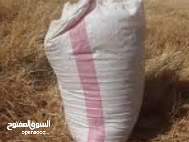 إعلان يوجد تبن للبيع إنتاج هذا العام الخيشة وزن من 20 الى 23 حمل السياره 210 كيس السعر 7.50. واصل