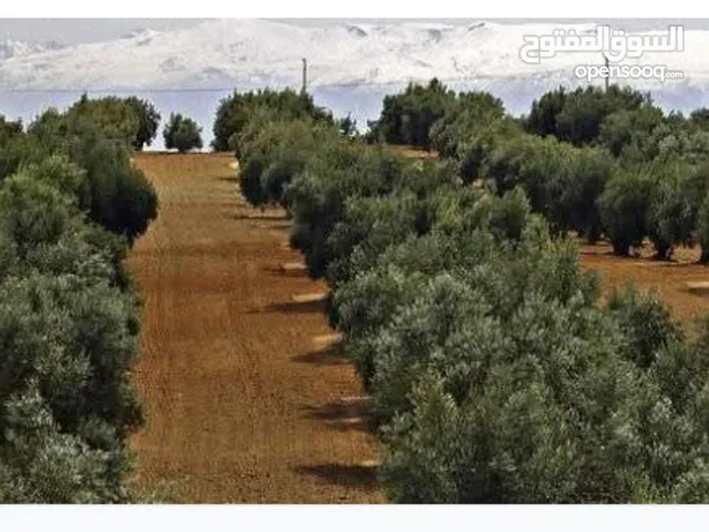 Mixed Use Land for Sale in Sfax Other