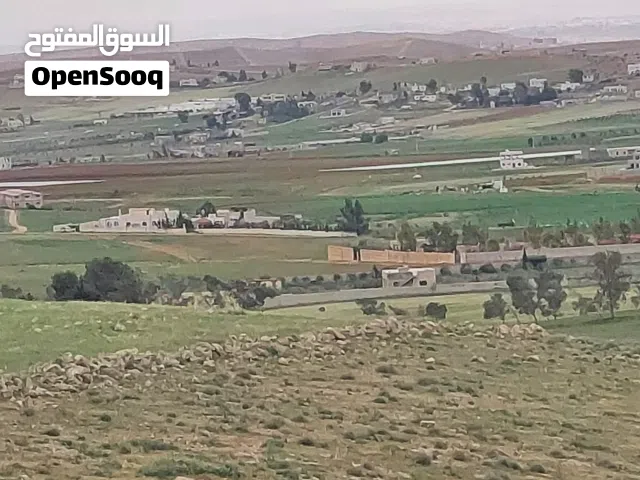 Mixed Use Land for Sale in Mafraq Hayyan Rwaibed