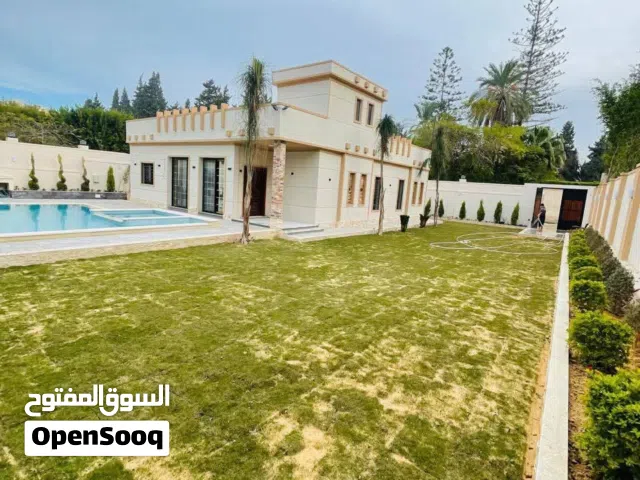 250 m2 3 Bedrooms Villa for Rent in Alexandria North Coast