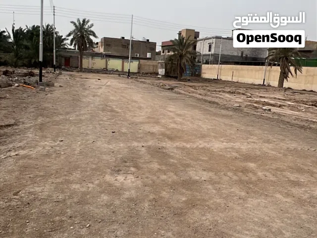 قطع اراضي في كوت ثويني مسحات مختلفة طابو عراقي سند 25