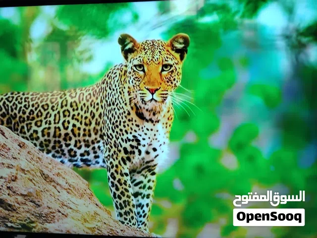 Magic Smart 55 Inch TV in Zarqa