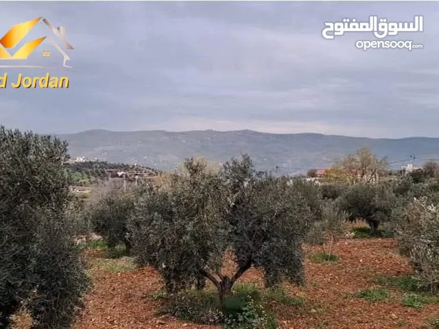 Farm Land for Sale in Salt Al Subeihi