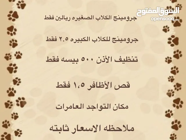مشروع منزلي جرومينج للكلاب