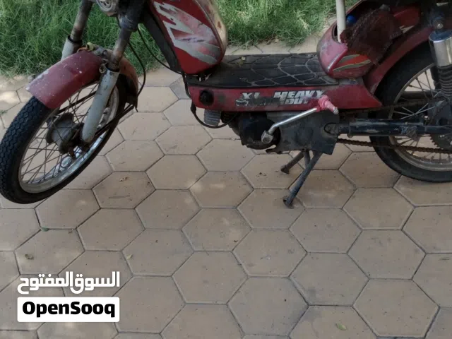 2019 اخرى اخرى