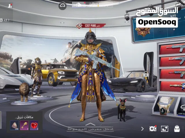 Pubg Accounts and Characters for Sale in Al Batinah