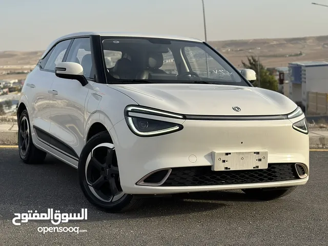 Dongfeng Nammi Box 2023 مستعمل ممشى قليل فحص كامل اعلى صنف