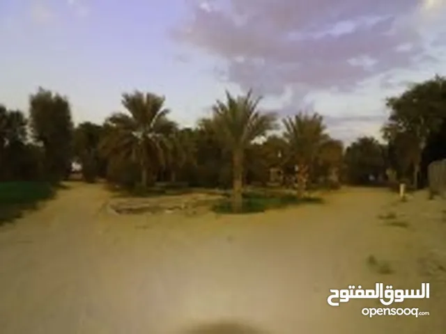 Farm Land for Sale in Al Ain Other