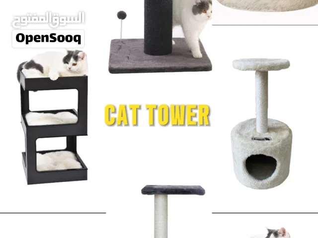 Cat Tower and house