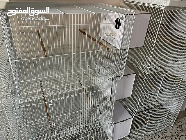اقفاص للبيع