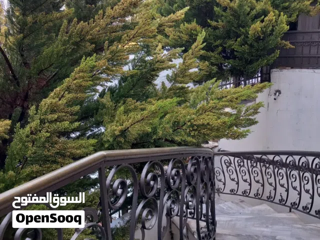 فيلا مستقله بالياسمين مطلوب شريكه سكن بنت