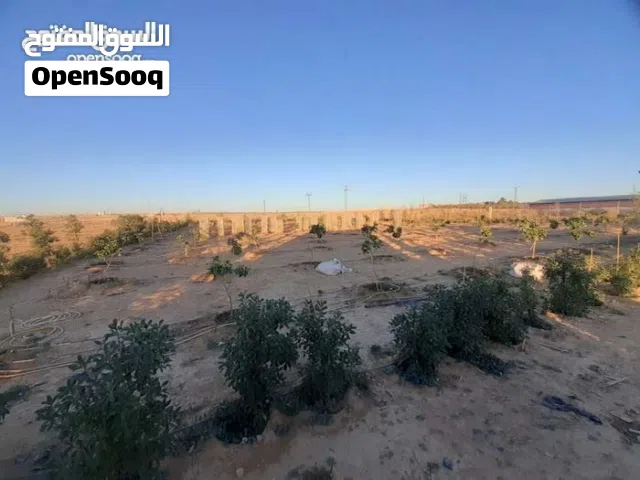 Farm Land for Sale in Amman Al-Zamila