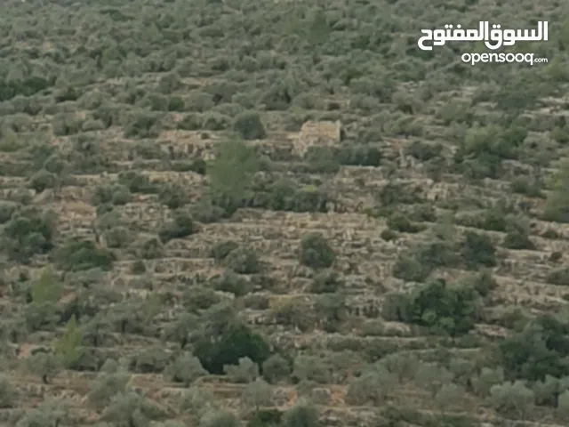 Mixed Use Land for Sale in Ramallah and Al-Bireh Mazri' Al-Nubani
