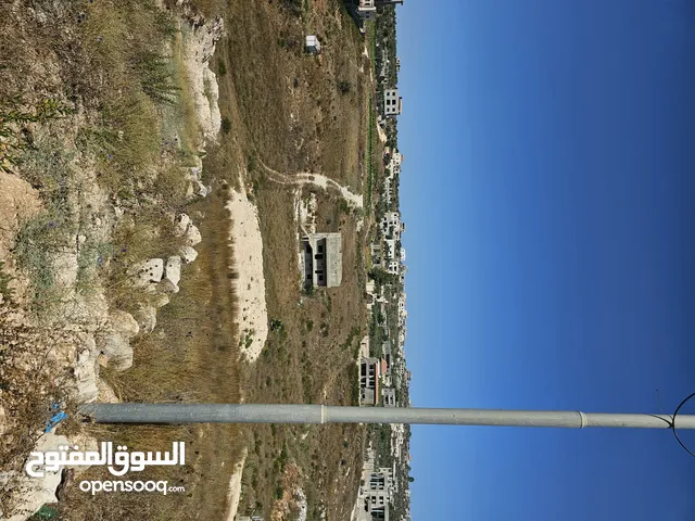 ارض بالجبريات