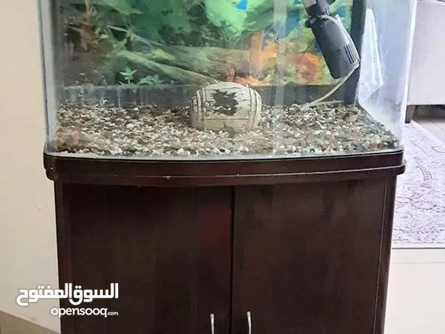 Aquarium with external filter for sweet / salt water