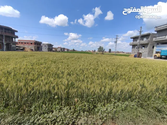 Farm Land for Sale in Beheira Abou Homs