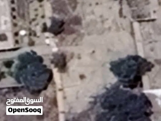 ارض في جولة سبأ الحصبة شارع تجاري