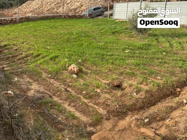 Mixed Use Land for Sale in Qalqilya Kafr Laqif