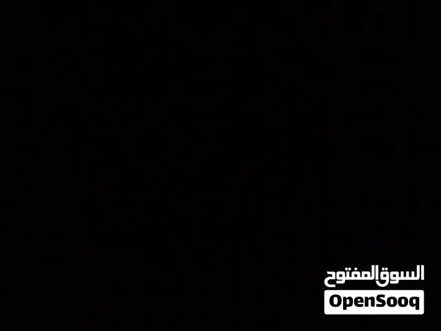 مطلوب تور مخاليف