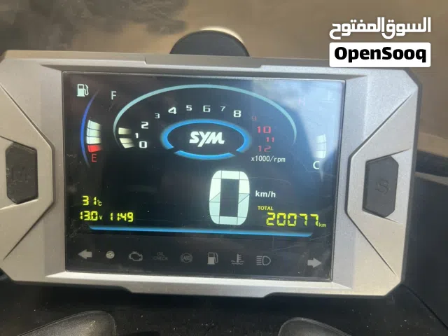 2025 SYM Other