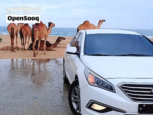 2018 هيونداي سوناتا Eco