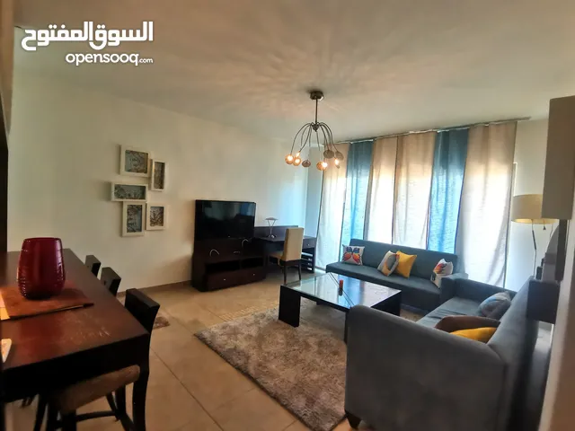 Elite 2 bedroom apartment in abdoun,  شقه فاخرة مفروشه عبدون