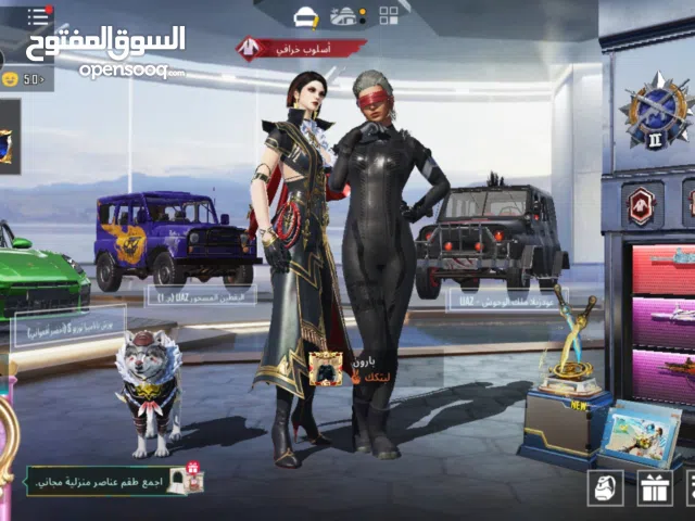 Pubg Accounts and Characters for Sale in Diyala