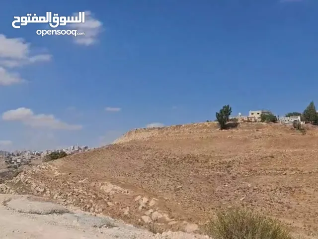 Residential Land for Sale in Amman Marj El Hamam