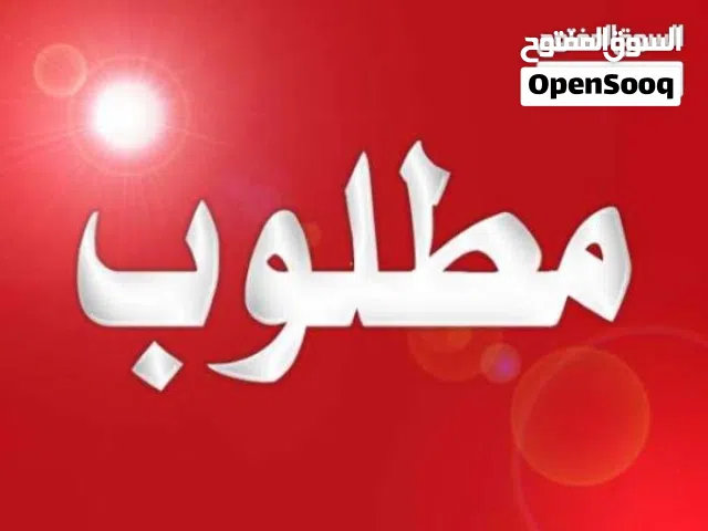 مطلوب فحل هجين قبرصي درجة اولا