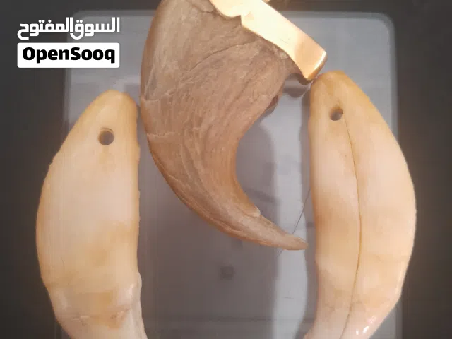 انياب اسد وضوفر اسد بالدهب