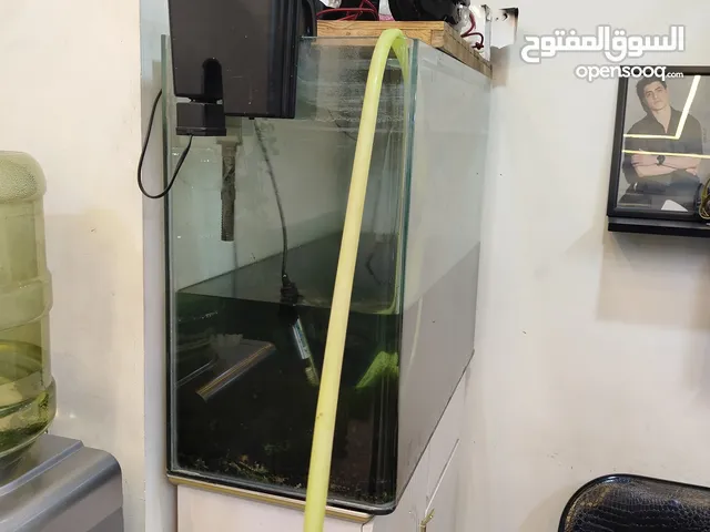حوض سمك للبيع