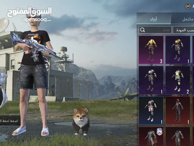 Pubg Accounts and Characters for Sale in Basra