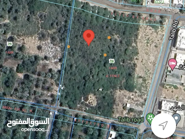 Residential Land for Sale in Muscat Seeb