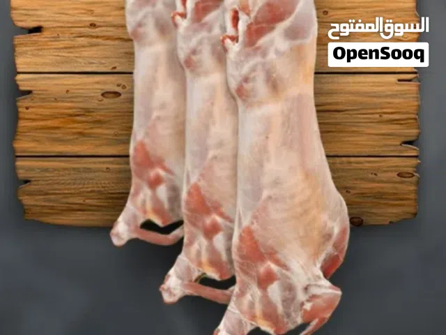 ذبايح كنيه للبيع