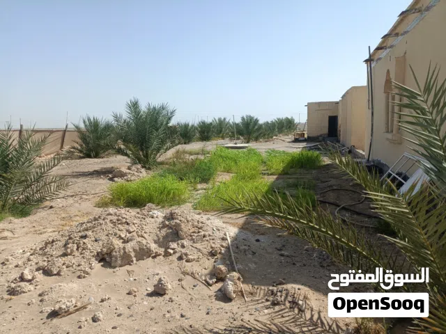 2 Bedrooms Farms for Sale in Al Dakhiliya Adam