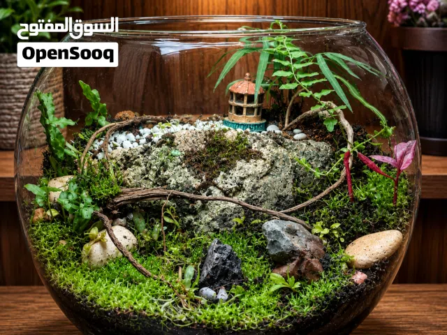 اجمل هدية للعيد غابة حية بين يديك