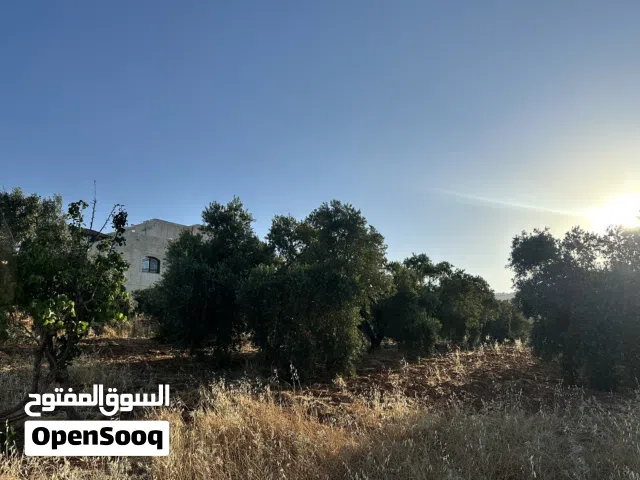 Residential Land for Sale in Zarqa Birayn
