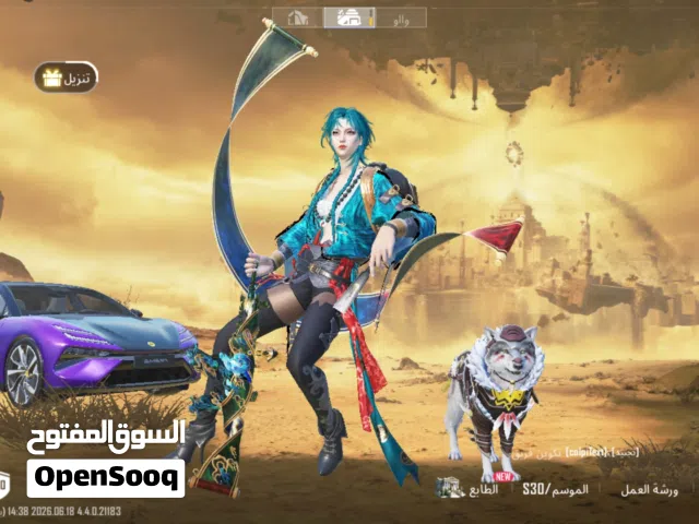 Pubg Accounts and Characters for Sale in Irbid