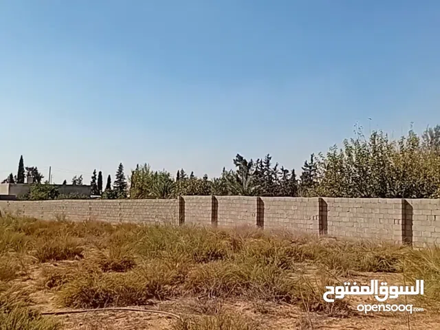 Farm Land for Sale in Tripoli Wadi Al-Rabi